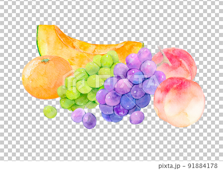 お中元　果物セット　水彩イラスト 91884178
