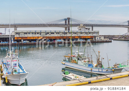 小田原漁港(小田原市公設水産地方卸売市場)の眺め 小田原漁港(小田原市公設水産地方卸売市場)の眺め 91884184
