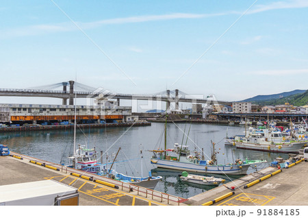 小田原漁港(小田原市公設水産地方卸売市場)の眺め 小田原漁港(小田原市公設水産地方卸売市場)の眺め 91884185