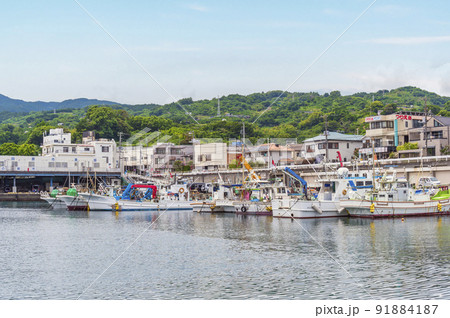 小田原漁港(小田原市公設水産地方卸売市場)の眺め 小田原漁港(小田原市公設水産地方卸売市場)の眺め 91884187