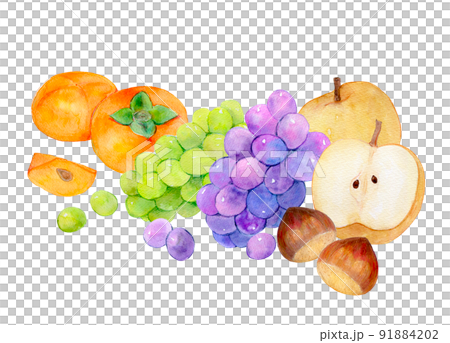 秋天的味道水果集水彩插圖 91884202