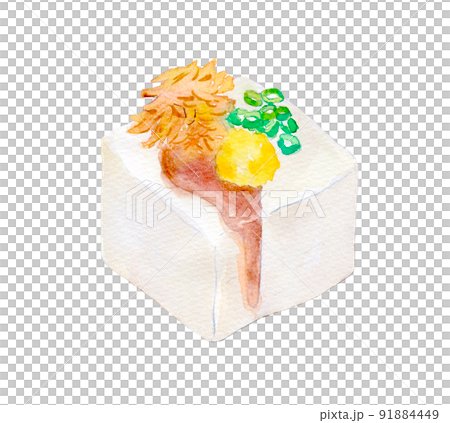 冷奴　お豆腐　水彩イラスト 91884449