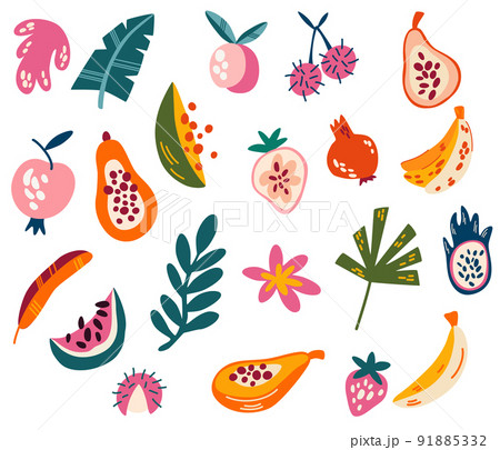 Tropical fruits and leaves. Exotic sweet fruits. Bananas, papaya, mango, pears, cherries, lychees and more. Healthy Summer Food collection. Hand draw vector illustration Tropical fruits and leaves. Exotic sweet fruits. Bananas, papaya, mango, pears, cherries, lychees and more. Healthy Summer Food collection. Hand draw vector illustration 91885332