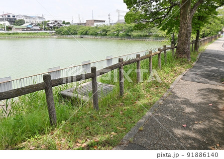 緑区大池 緑区大池 91886140