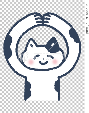 Cat in OK pose 91886326