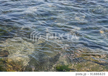 Stones covered with algae on the sandy beach of the sea in the bright sun and small waves 91886820