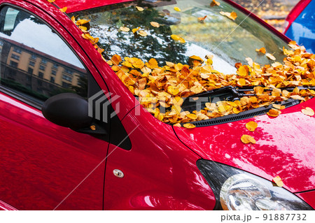 Urban landscape. Car covered with autumn leaves 91887732