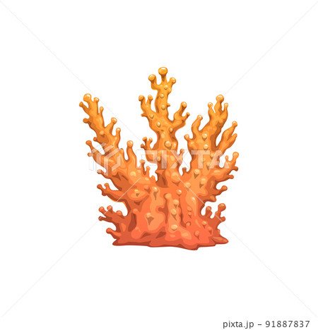 Cartoon coral branch, underwater vector plant with pimples on orange branches. Sea reef object, undersea tropical water life, ocean coral marine flora isolated design element 91887837