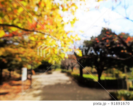 背景用ボカシ素材・秋の公園 背景用ボカシ素材・秋の公園 91891670
