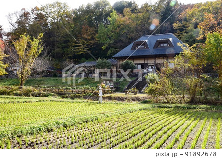 座間市　県立座間谷戸山公園の里山体験館と紅葉 91892678
