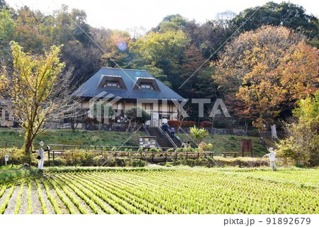 座間市　県立座間谷戸山公園の里山体験館と紅葉 91892679