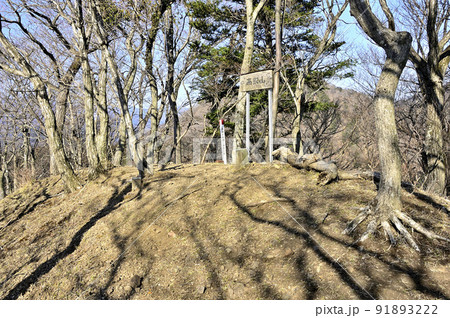 丹沢の相州アルプス 荻野高取山の山頂 丹沢の相州アルプス 荻野高取山の山頂 91893222