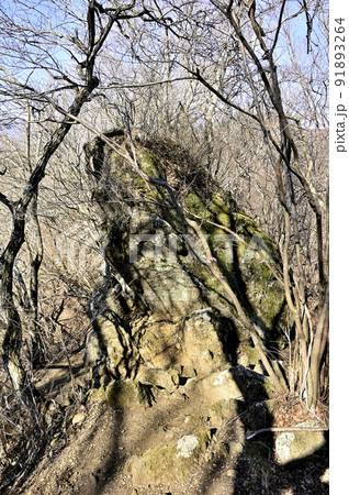 丹沢の経ヶ岳 仏果山~経ヶ岳縦走コースの登山道 経石 丹沢の経ヶ岳 仏果山~経ヶ岳縦走コースの登山道 経石 91893264