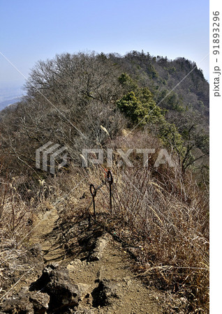 丹沢の仏果山 仏果山~経ヶ岳縦走コースの登山道 丹沢の仏果山 仏果山~経ヶ岳縦走コースの登山道 91893296