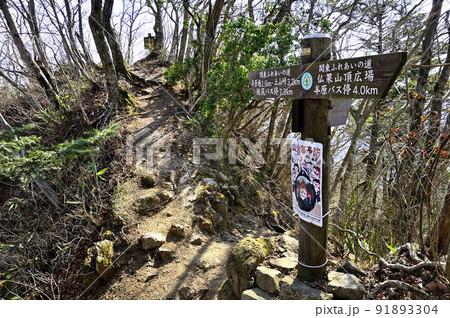 丹沢の仏果山山頂　関東ふれあいの道 91893304