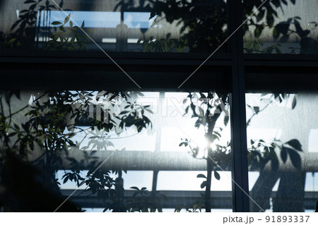 温室の窓と機械 整えられた環境 東京で楽しむ温帯の植物 人工的 研究目的 温室の窓と機械 整えられた環境 東京で楽しむ温帯の植物 人工的 研究目的 91893337