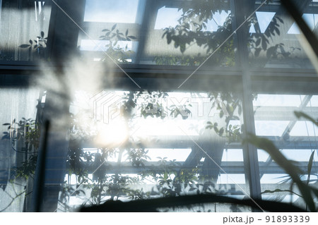 温室の窓と機械　整えられた環境　東京で楽しむ温帯の植物　人工的　研究目的 91893339