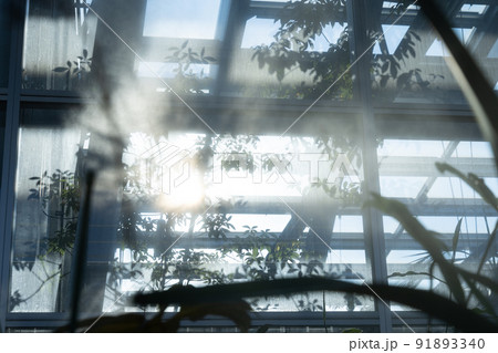 温室の窓と機械　整えられた環境　東京で楽しむ温帯の植物　人工的　研究目的 91893340