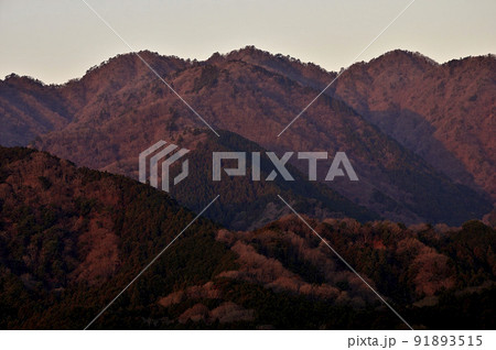 朝焼けの山体 丹沢の煤ヶ谷秋葉山より大山三峰山 朝焼けの山体 丹沢の煤ヶ谷秋葉山より大山三峰山 91893515