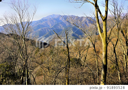 丹沢の相州アルプス 荻野高取山より大山を望む 丹沢の相州アルプス 荻野高取山より大山を望む 91893528