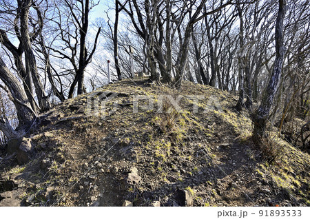 丹沢の相州アルプス 荻野高取山の山頂 丹沢の相州アルプス 荻野高取山の山頂 91893533