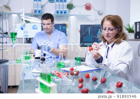 Biologist woman studying strawberries in a research lab. Scientist man working in the background. Biologist woman studying strawberries in a research lab. Scientist man working in the background. 91893546