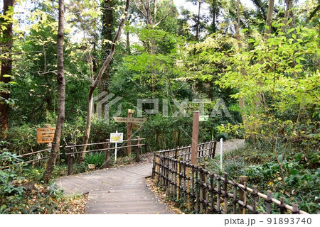 座間市　県立座間谷戸山公園散策路と道案内 91893740