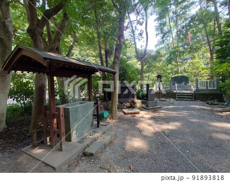 浜空神社B(横浜市金沢区:富岡総合公園) 浜空神社B(横浜市金沢区:富岡総合公園) 91893818