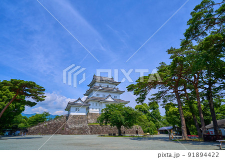 神奈川県小田原市の小田原城を本丸広場から見る 91894422