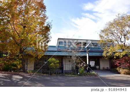 座間市　県立座間谷戸山公園のパークセンター（管理事務所）と紅葉 91894943