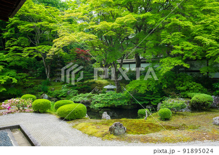 京都　泉涌寺（せんにゅうじ）の御座所庭園　新緑 91895024
