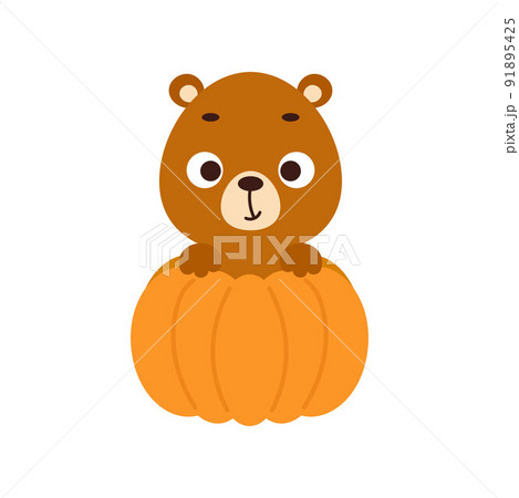 Cute little bear sitting in a pumpkin. Cartoon...のイラスト素材