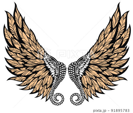 Angel wings isolated on white background Angel wings isolated on white background 91895783