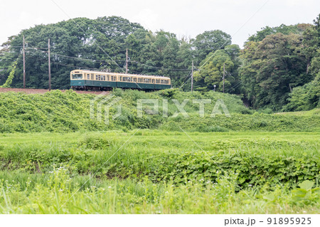 【北勢線】築堤を走る列車 91895925