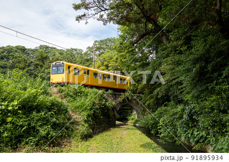 【北勢線】ねじり橋を渡る列車 91895934