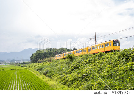 【北勢線】築堤を走る列車 91895935