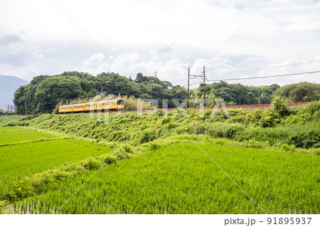 【北勢線】築堤を走る列車 91895937
