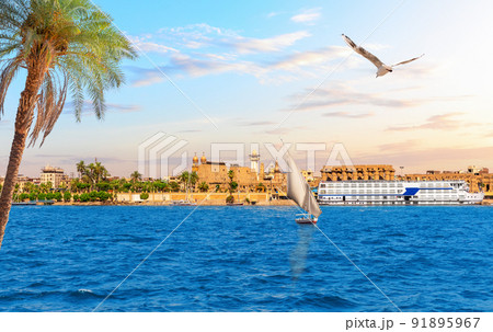 Luxor Temple on the bank of the Nile behind the palm tree, Upper Egypt Luxor Temple on the bank of the Nile behind the palm tree, Upper Egypt 91895967