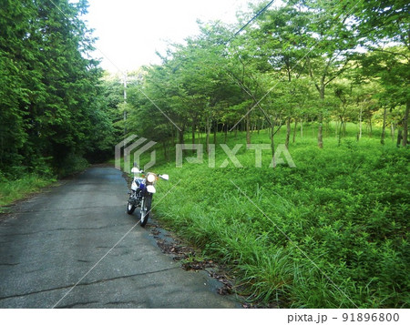 バイクで粉河ハイランドパークを通って堀越観音様へ バイクで粉河ハイランドパークを通って堀越観音様へ 91896800