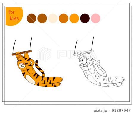 coloring book for children by colors. tiger in the circus 91897947