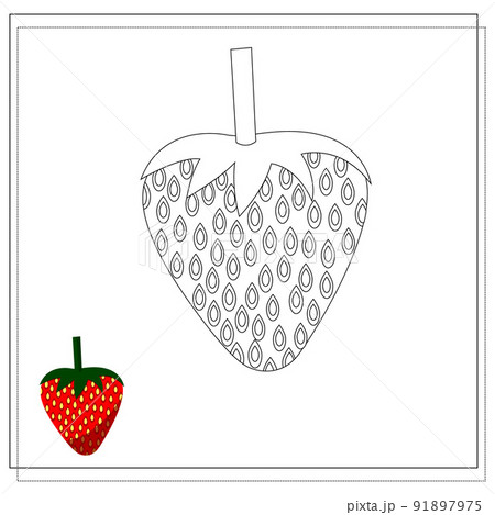 Page of the coloring book, strawberry. Color version and sketch. Coloring book for kids. Vector Page of the coloring book, strawberry. Color version and sketch. Coloring book for kids. Vector 91897975