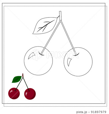 Page of the coloring book, cherry. Color version and sketch. Coloring book for kids. Vector 91897979
