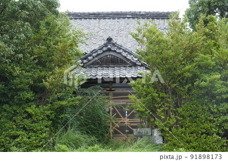 立派な日本建築の廃墟と生い茂る草木 91898173