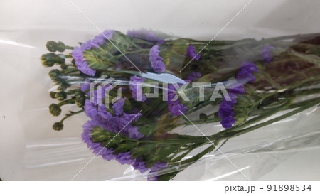 献花する 91898534