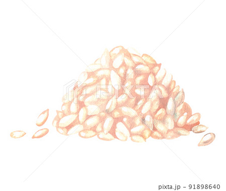 Heap of shelled sunflower seeds. Watercolor illustration. Isolated on a white background. For design Heap of shelled sunflower seeds. Watercolor illustration. Isolated on a white background. For design 91898640