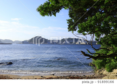 横須賀　燈明堂付近の海岸 91899166