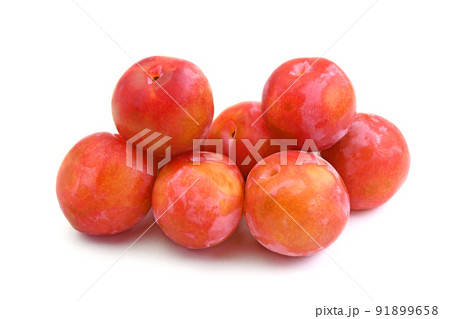 プラム（いくみ） 91899658