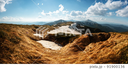 View of the grassy hills View of the grassy hills 91900136