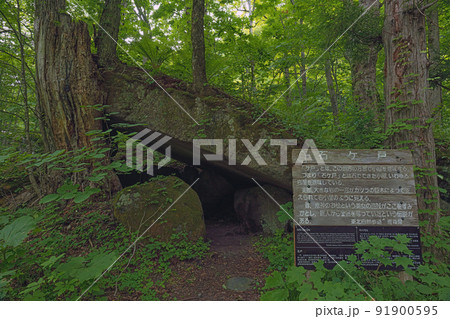 青森 奥入瀬渓流 石ケ戸 青森 奥入瀬渓流 石ケ戸 91900595