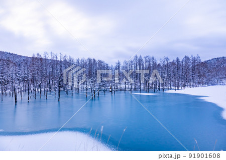 北海道の風景）氷結した青い池の写真素材 [91901608] - PIXTA